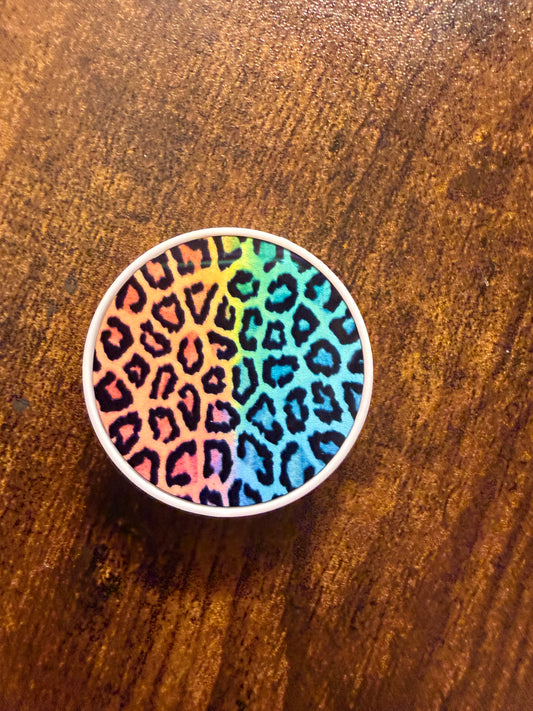 Colorful cheetah